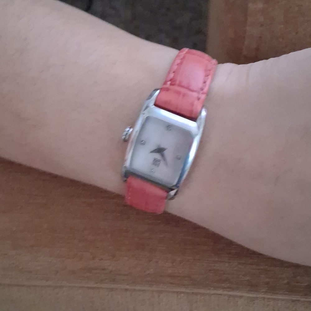 ESQ Swiss Watch